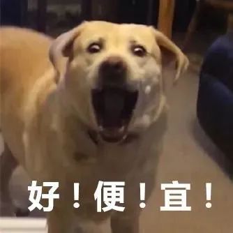 警方通报助学贷款,消除助学贷款诈骗