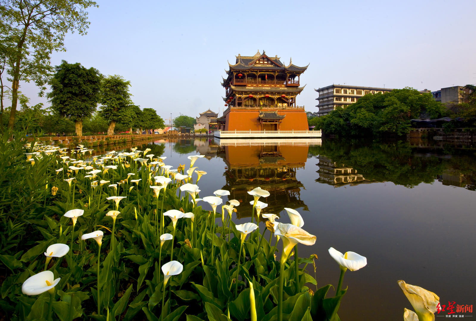 成都“*光春**大赏”携程旅行专区上线，赏春同时还有优惠拿