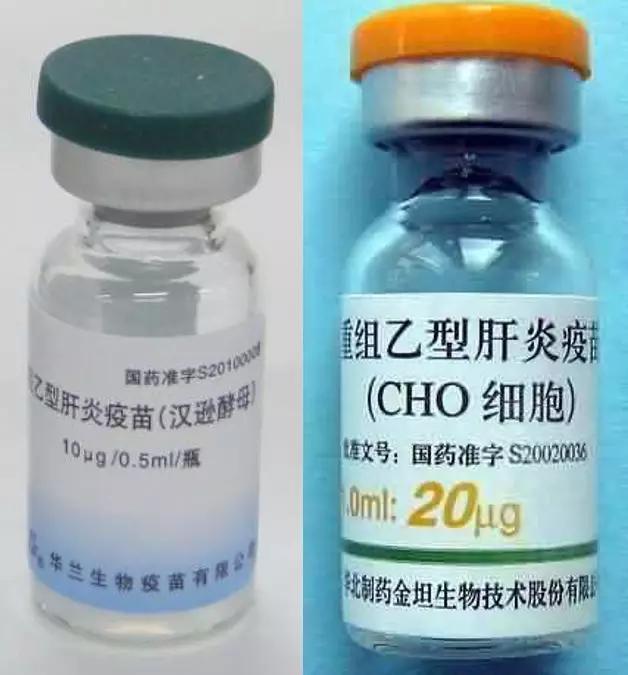 2019冠病口服疫苗，大吃一斤你敢么？陶医生敢