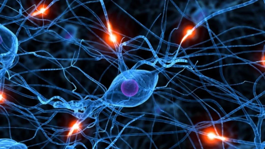 高中生物植物激素知识点总结归纳,高中生物选修三知识点总结归纳