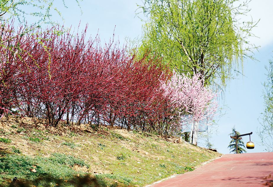 洛阳适合下午游玩的地方,洛阳旅游攻略好玩的夜市