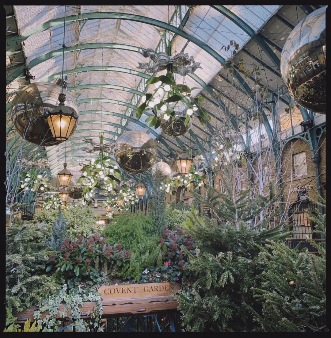 伦敦真人秀视频大全,伦敦街头真人秀节目