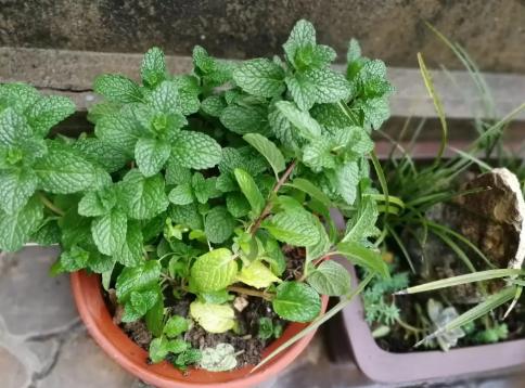 豆瓣抠门精华帖视频,豆瓣抠门省钱小组