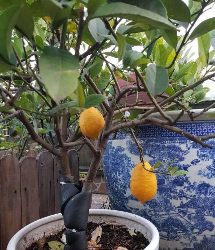 豆瓣抠门精华帖视频,豆瓣抠门省钱小组