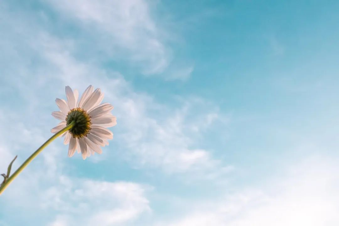 更年期女性调理雌激素的好药物,更年期激素疗法最佳时期