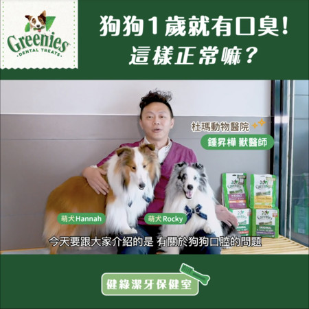 9岁狗狗超级严重牙结石,狗狗十大疾病及治疗方法