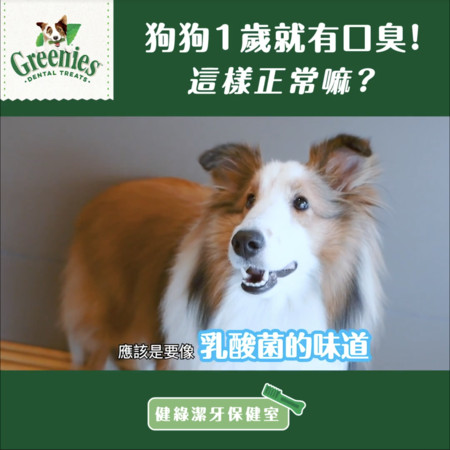 9岁狗狗超级严重牙结石,狗狗十大疾病及治疗方法