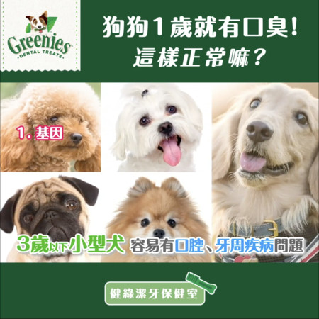 9岁狗狗超级严重牙结石,狗狗十大疾病及治疗方法