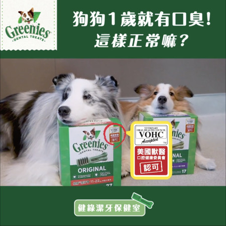 9岁狗狗超级严重牙结石,狗狗十大疾病及治疗方法