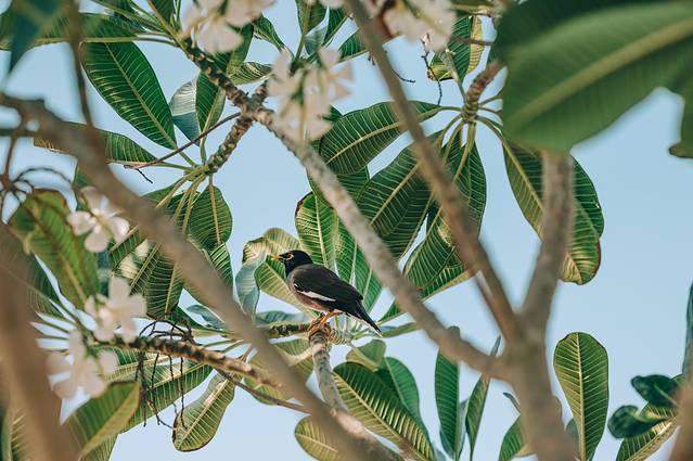 阿联酋迪拜之行,小狮妹和爸爸