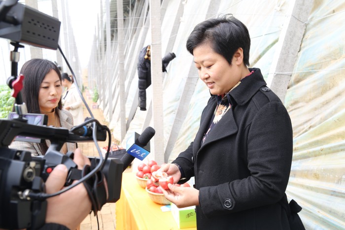 沾化：暖式大棚变直播间女乡长为有机果蔬代言