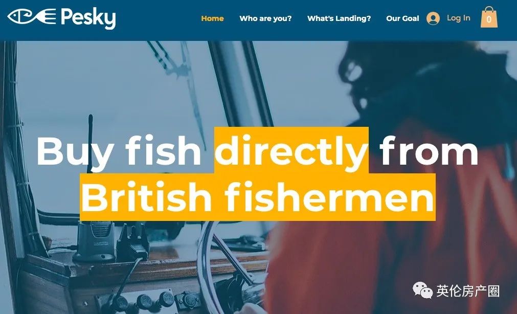 瀹呭鍥よ揣鍏ㄩ泦,鑻卞浗瀹呭鍥よ揣缃戝簵鎸囧崡