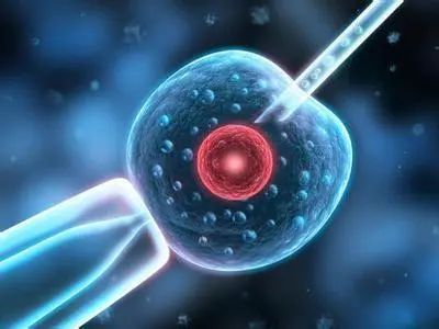 试管婴儿如何安全到预产期,如何保障试管宝宝健康出生