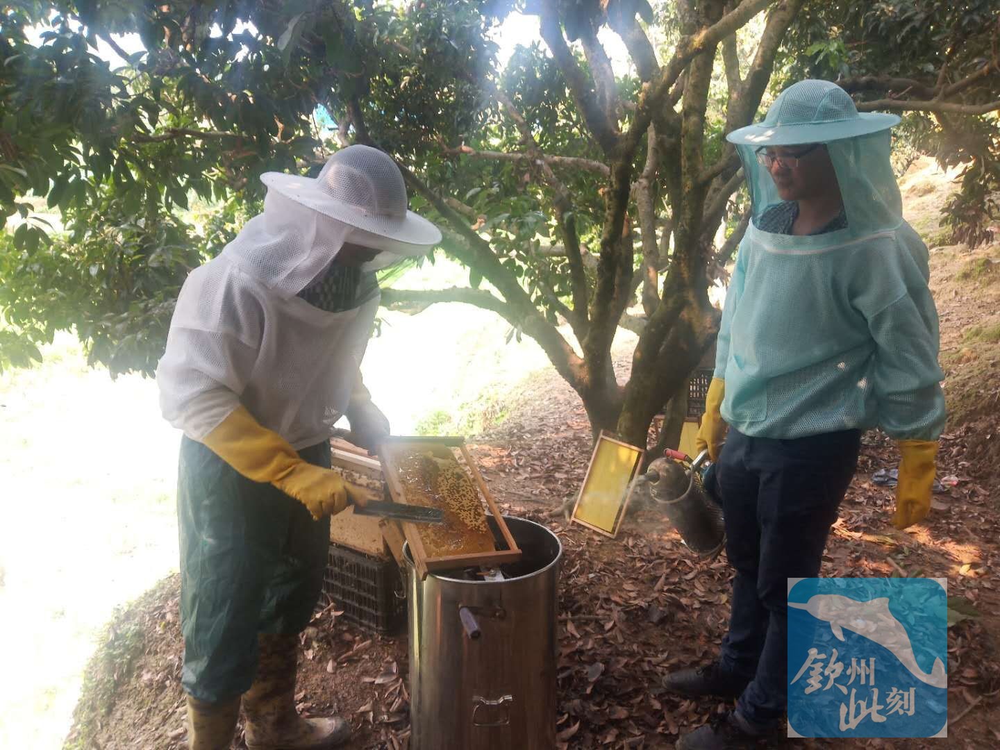 小董团队招人,小董招人