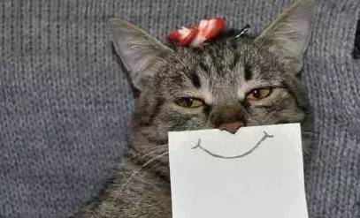 邳州99元团购套餐,邳州10-15人的团购套餐