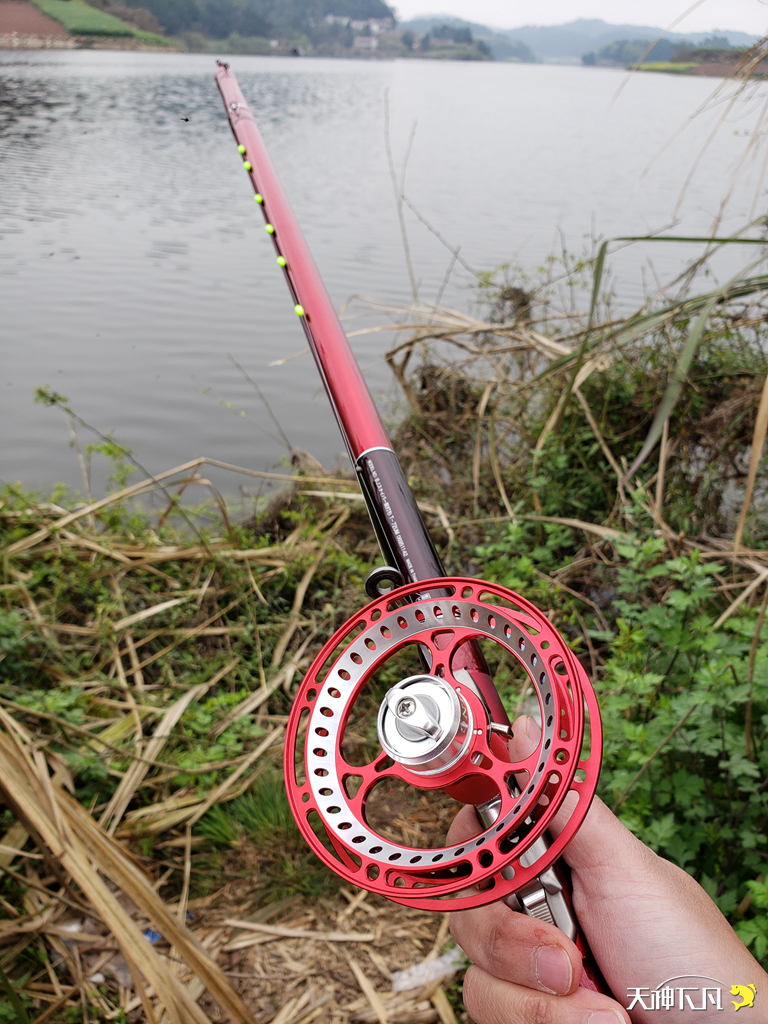 凤凰涅盘浴火重生对火的崇拜,凤凰涅盘浴火重生需要的是勇气