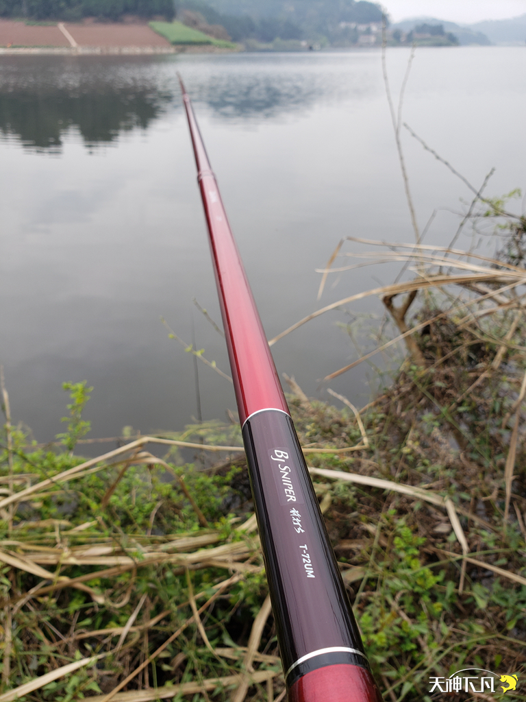 凤凰涅盘浴火重生对火的崇拜,凤凰涅盘浴火重生需要的是勇气