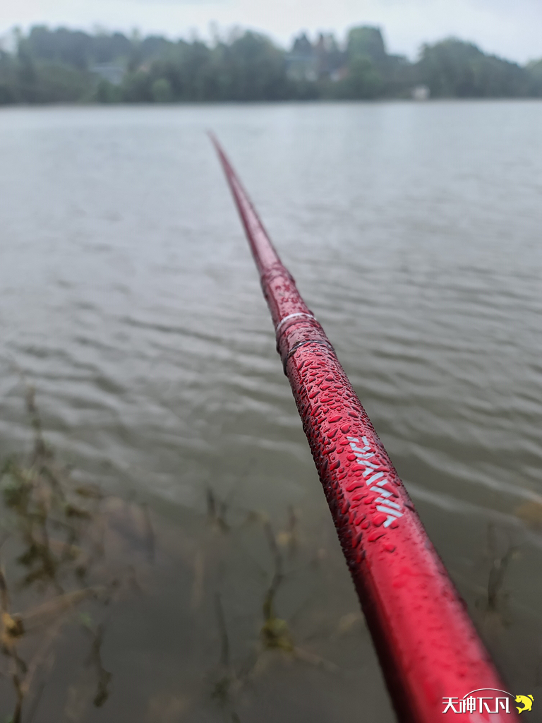 凤凰涅盘浴火重生对火的崇拜,凤凰涅盘浴火重生需要的是勇气