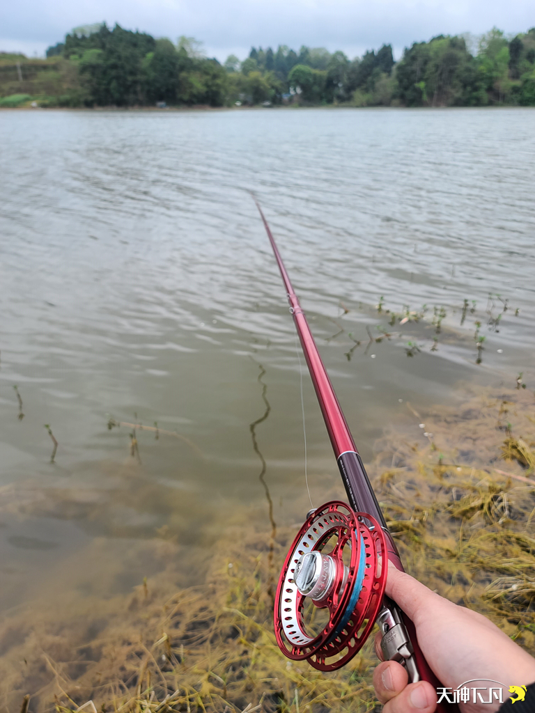 凤凰涅盘浴火重生对火的崇拜,凤凰涅盘浴火重生需要的是勇气