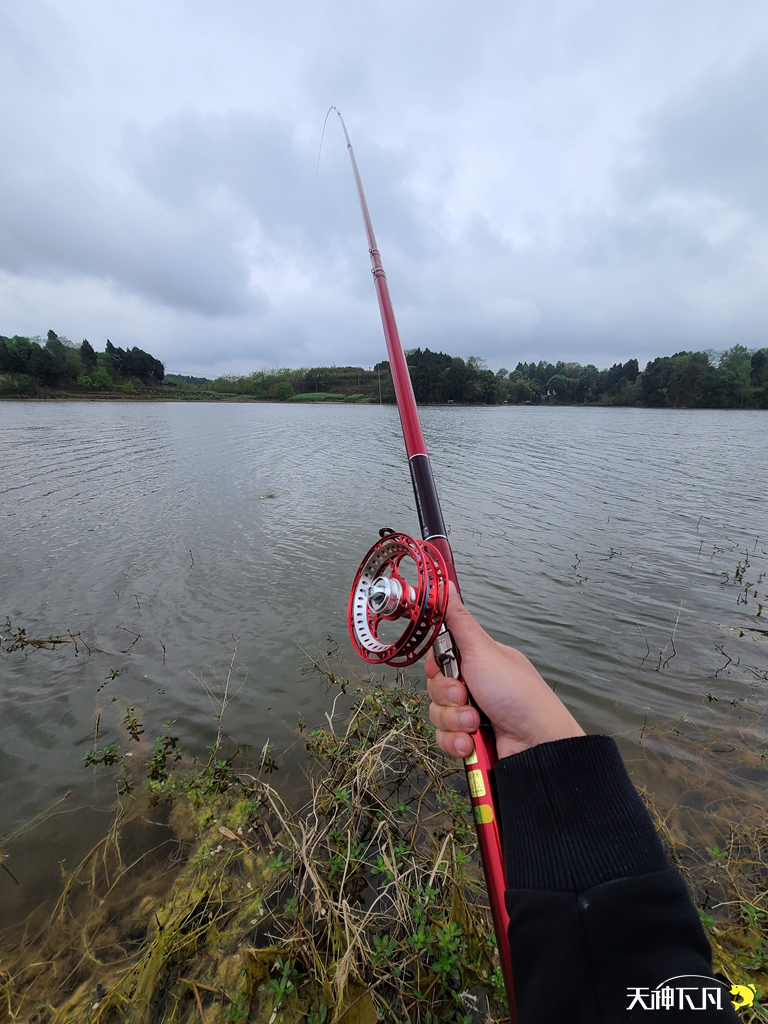 凤凰涅盘浴火重生对火的崇拜,凤凰涅盘浴火重生需要的是勇气