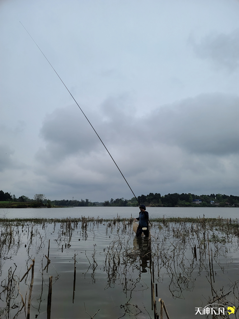 凤凰涅盘浴火重生对火的崇拜,凤凰涅盘浴火重生需要的是勇气