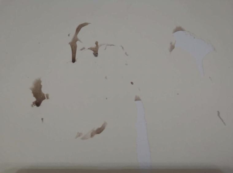 鐩樼偣閭ｄ簺鍧戠埞鐜╁叿,涔扮帺鍏峰墠涔扮帺鍏峰悗