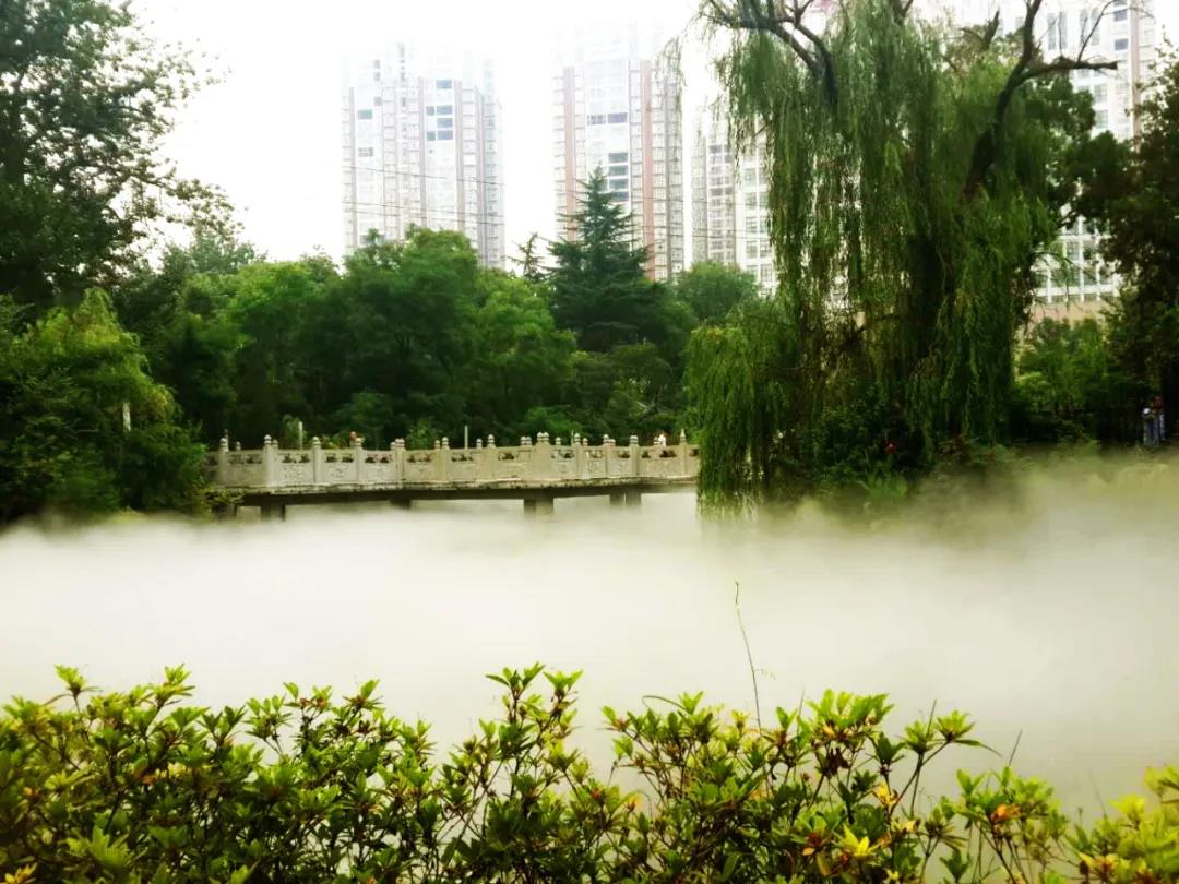 疫情之后地产新江湖，谁是平顶山的风清扬？