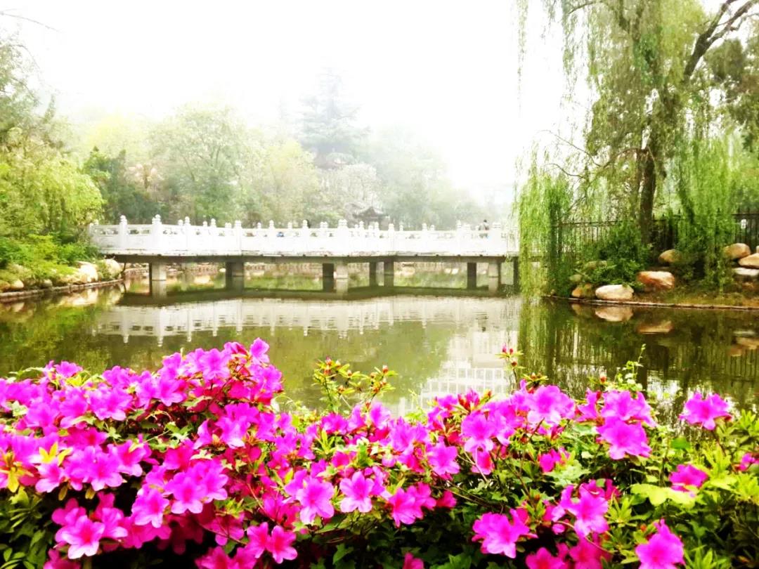 疫情之后地产新江湖，谁是平顶山的风清扬？