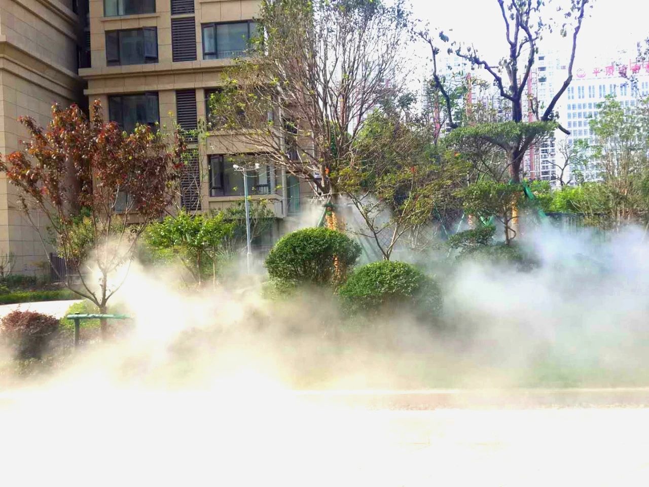 疫情之后地产新江湖，谁是平顶山的风清扬？