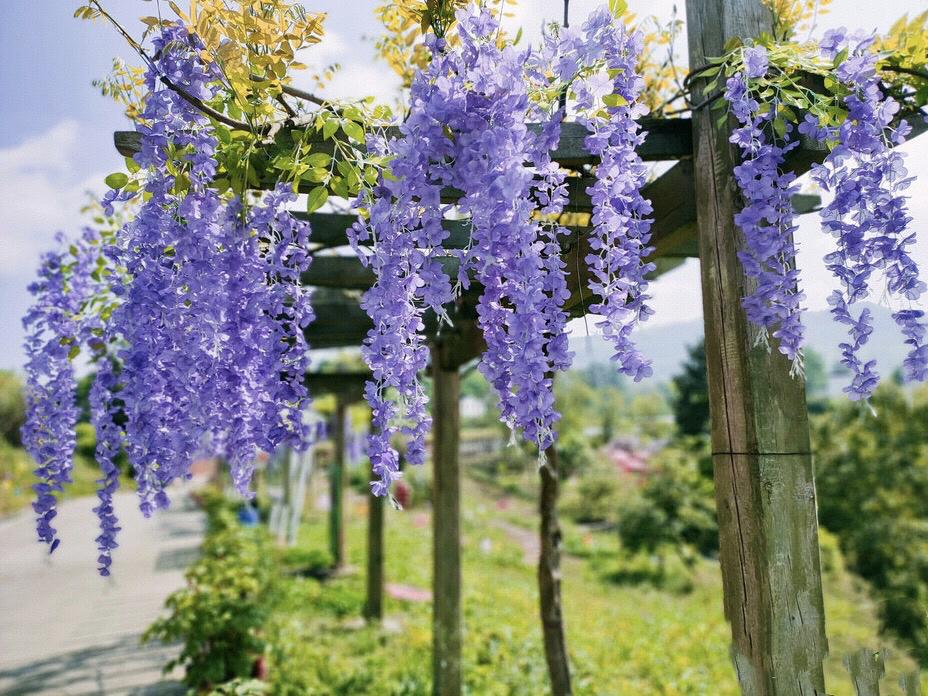 成都周边清明一日游景点推荐,打卡成都周边9个超美郊游圣地