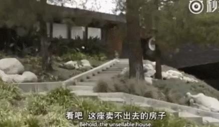 这才是妥妥的背靠资本啊