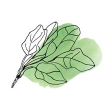 颜值高的洗护套装,国产洗护用品有哪些品牌