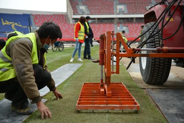 渭南足球场建在哪里,新的草坪球场