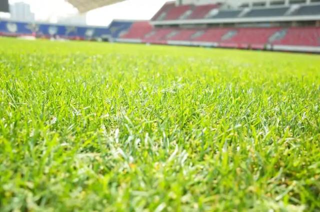 渭南足球场建在哪里,新的草坪球场