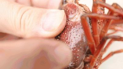 小龙虾美味又简单的做法,又麻又辣的小龙虾怎么做才好吃