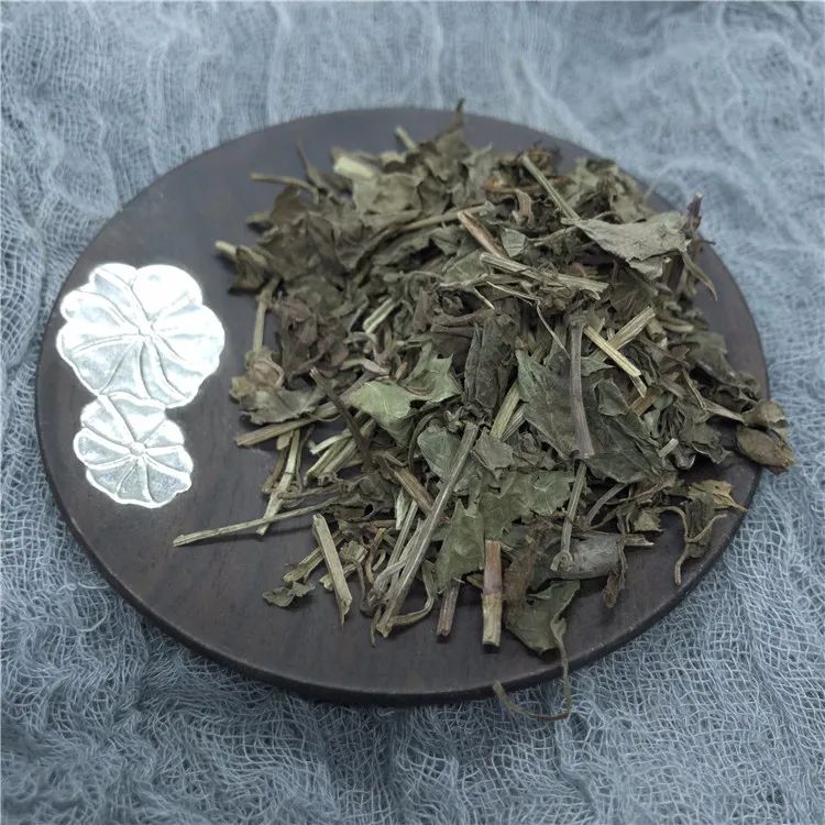 栖霞山植物百科视频,栖霞山上的植物