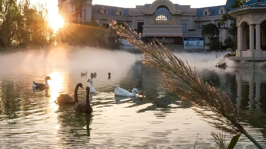 这是一份真诚的道歉声明