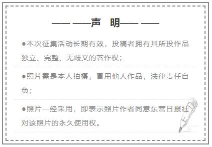 从影像中读懂东营｜图说东营（24）这些“宝藏”手艺人