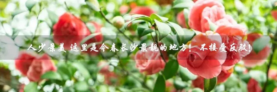 长沙橘子洲什么时候去人不多,长沙橘子洲值得去吗