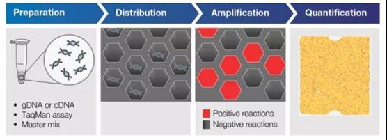 数字pcr上市公司,数字pcr技术公司
