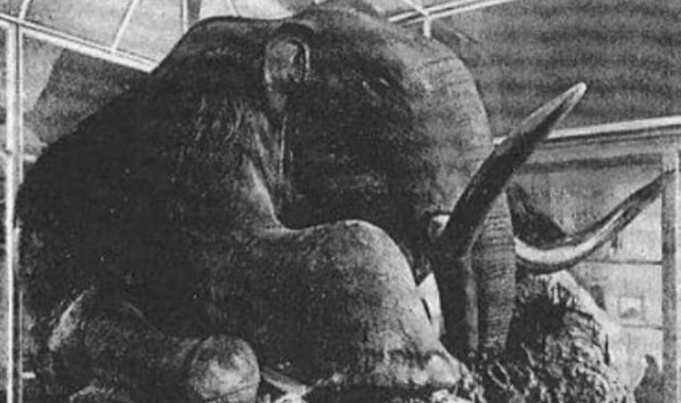 保质期超长的食品有哪些,超长期食品