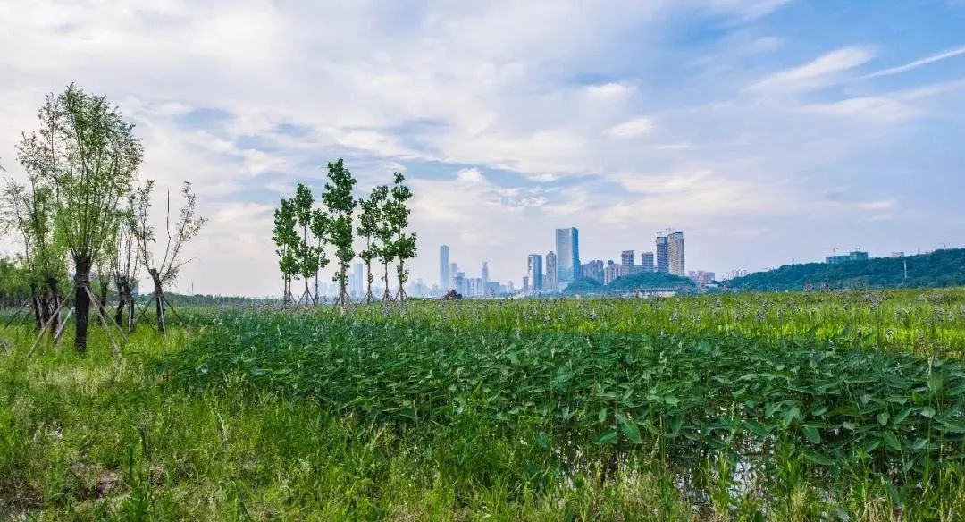 长沙橘子洲什么时候去人不多,长沙橘子洲值得去吗