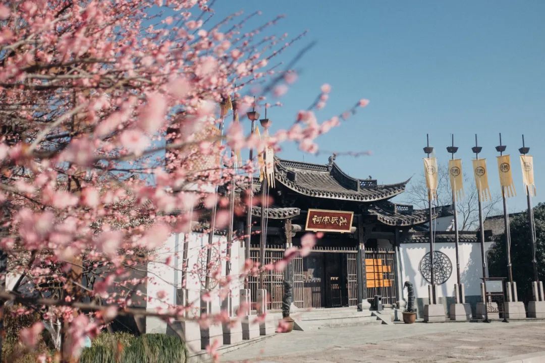 表彰名单公布19名个人12个单位,杭州余杭区被查人名单