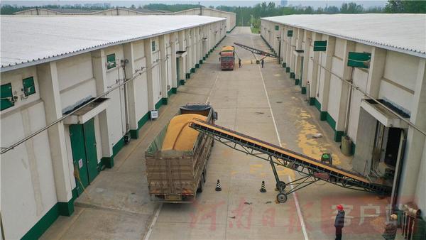 中原粮仓纪录片,探秘大国粮仓中储粮动画