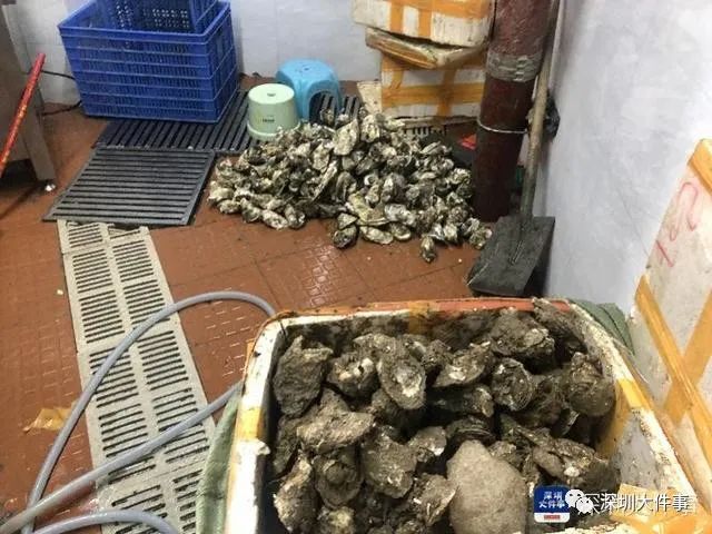 吃完生蚝后上吐下泻是什么原因,每次吃生蚝上吐下泻是什么原因