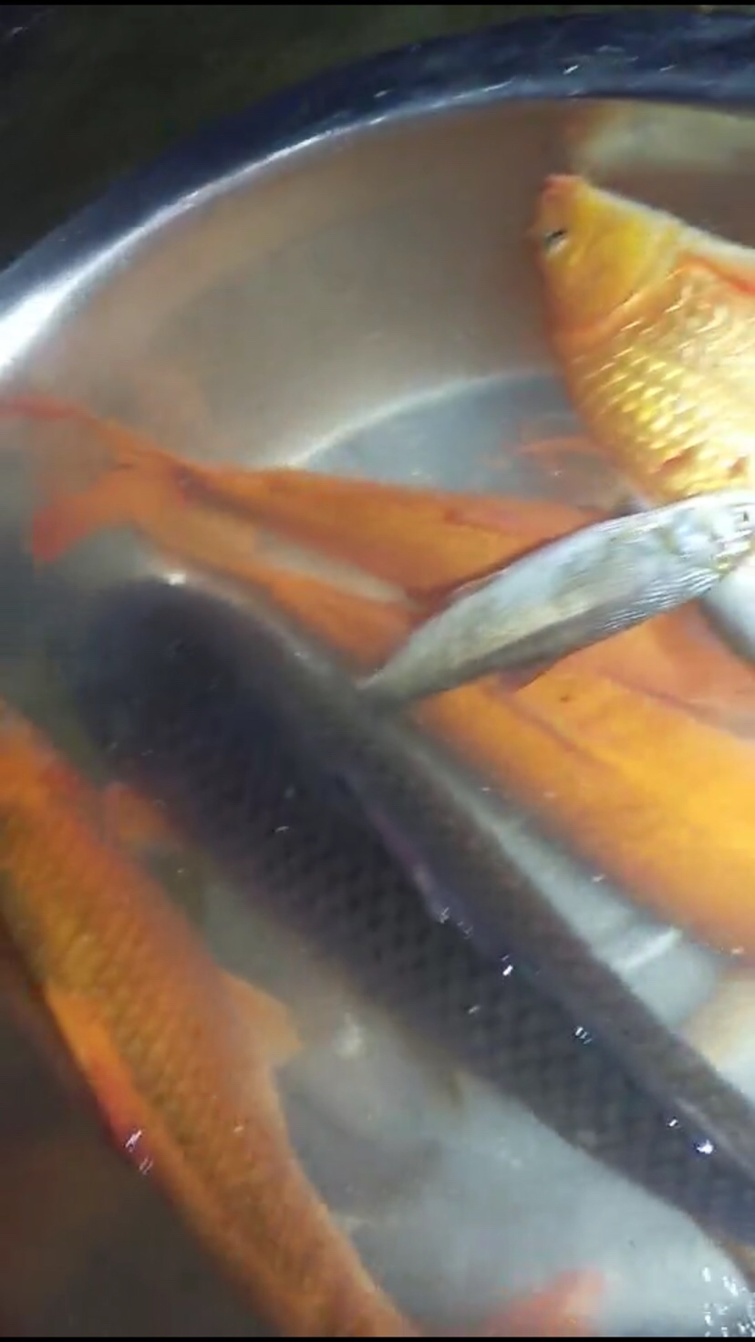 最美四月天正是踏青好时节,最美人间四月天正是出游好时节