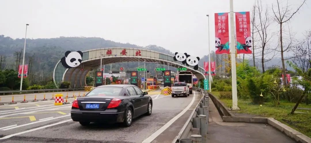 晨读成都|全国首条“熊猫高速”亮相！一路都是“滚滚”~