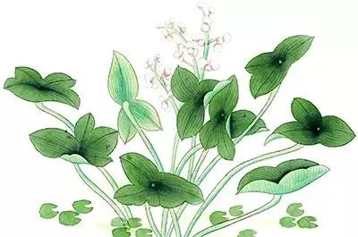 传统的中医针灸治疗更年期综合征|《更年期的聪颖》第六章第3节