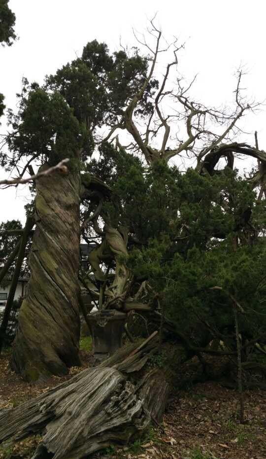 苏州名胜古庙,苏州三大古寺庙