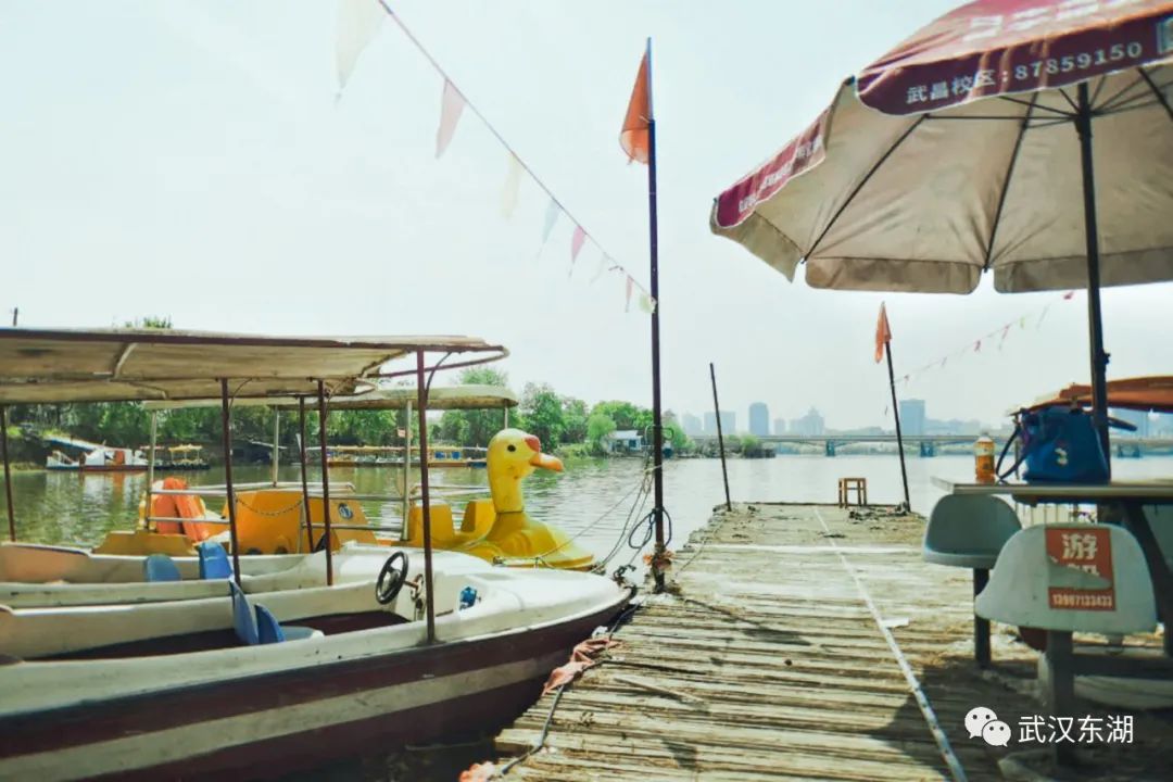 武汉解封后，我最先奔向了东湖